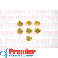 Premier Welch plug kit Thumbnail