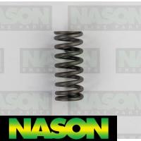 Nason Valve Spring Thumbnail