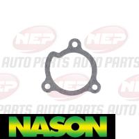 Nason Water Pump Thumbnail