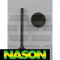 Nason Valve Inlet Thumbnail