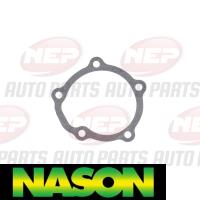 Nason Water Pump Thumbnail