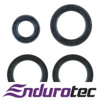 Endurotec Timing Seal Kit Thumbnail