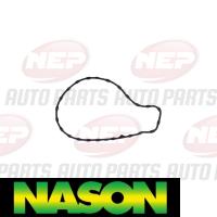 Nason Water pump Thumbnail