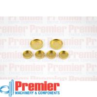 Premier Welch plug kit Thumbnail