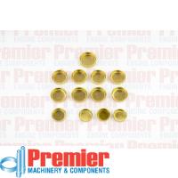 Premier Welch plug kit Thumbnail