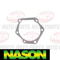 Nason Water Pump Thumbnail