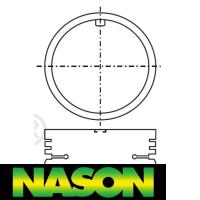 Nason Piston & Pin Set Thumbnail