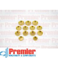 Premier Welch plug kit Thumbnail