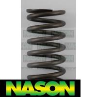 Nason Valve Spring Thumbnail
