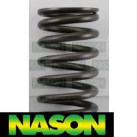 Nason Valve Spring Thumbnail
