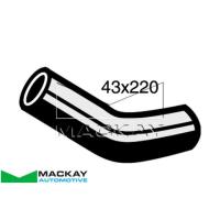 Mackay Radiator Lower Hose Thumbnail