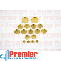 Premier Welch plug kit Thumbnail