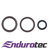Endurotec Timing Seal Kit Thumbnail