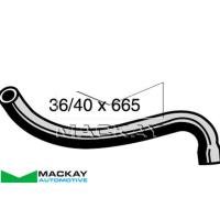 Mackay Radiator Lower Hose Thumbnail