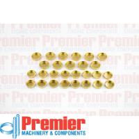 Premier Welch plug kit Thumbnail