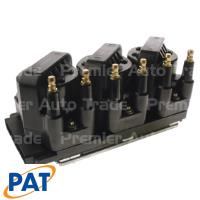 PAT Icon Ignition Coil And Module Thumbnail