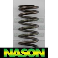 Nason Valve Spring Thumbnail