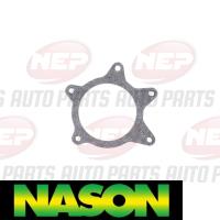 Nason Water Pump Thumbnail