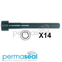 Permaseal Cylinder Head Bolt Set Thumbnail