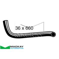 Mackay Radiator Lower Hose Thumbnail