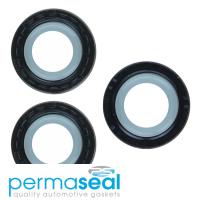 Permaseal Timing Seal Kit Thumbnail