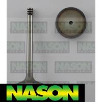 Nason Valve Inlet Thumbnail