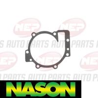 Nason Water Pump Thumbnail