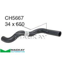 Mackay Radiator Lower Hose Thumbnail